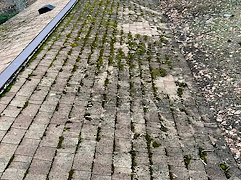 Before: mobile home renovation project 8